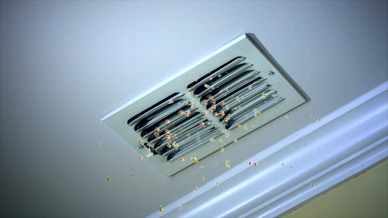 Best Affordable HVAC Duct Cleaning  in Dunnigan, CA